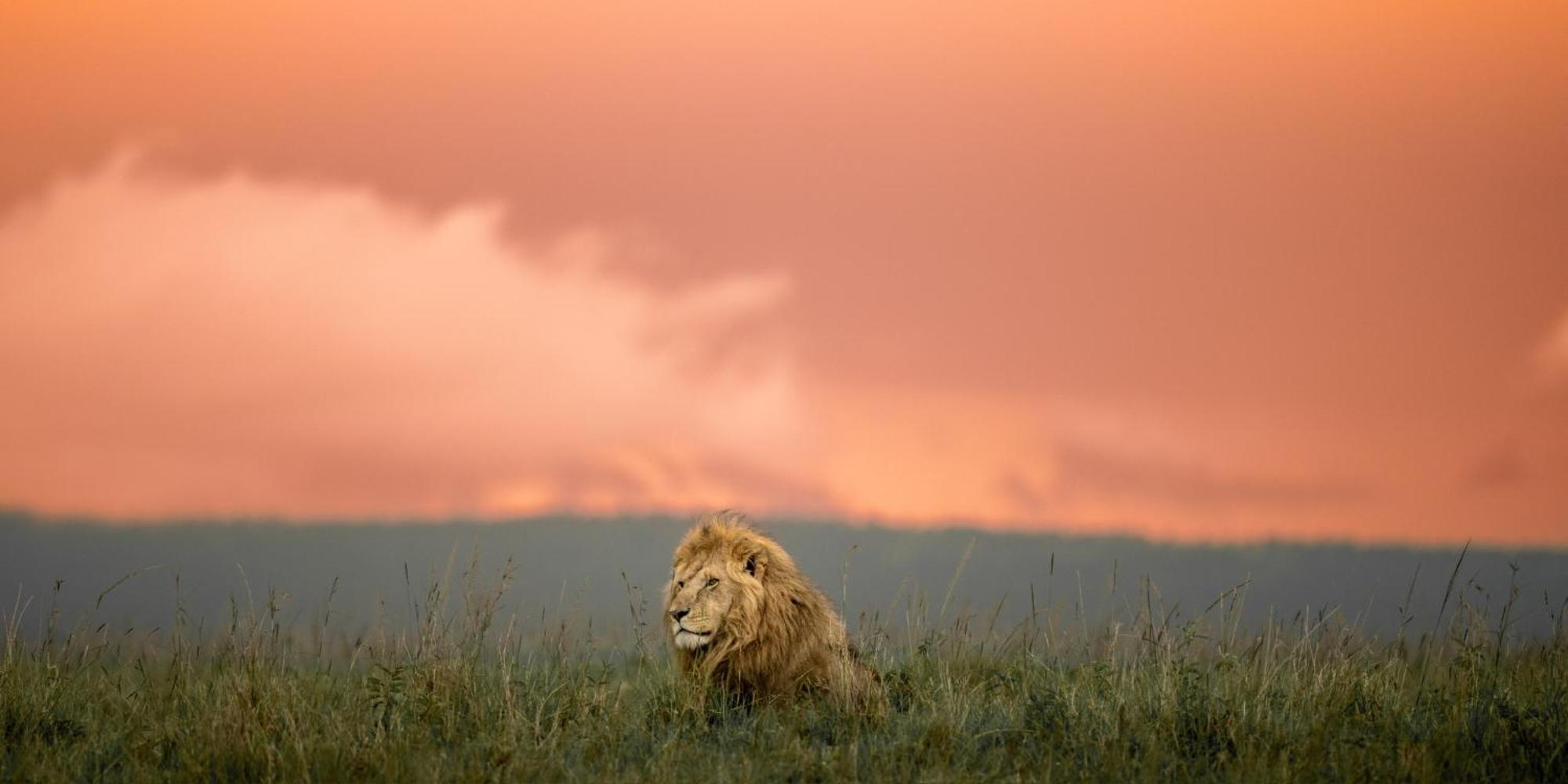 Olkinyei Mara Tented Camp Talek 외부 사진
