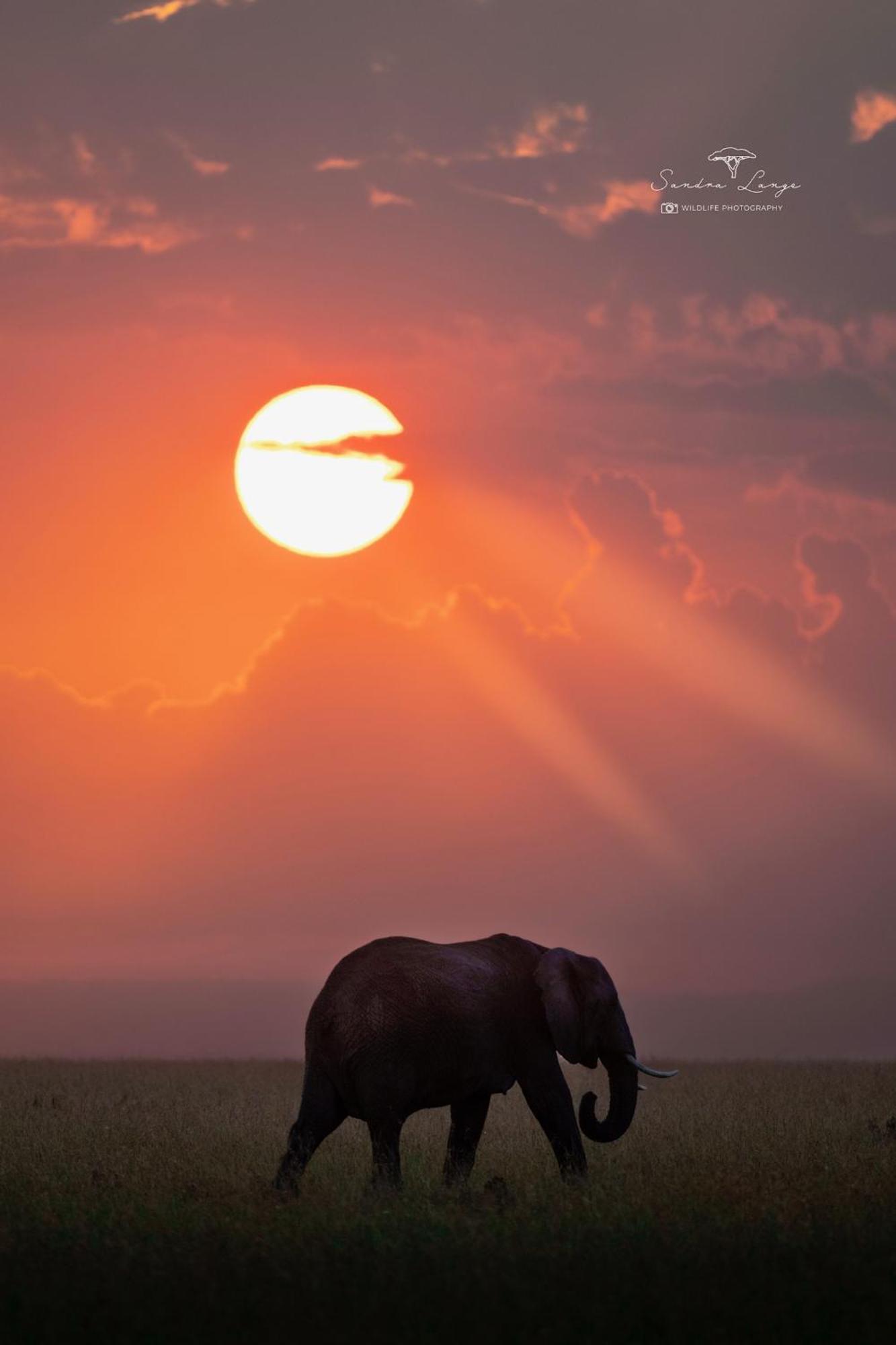 Olkinyei Mara Tented Camp Talek 외부 사진
