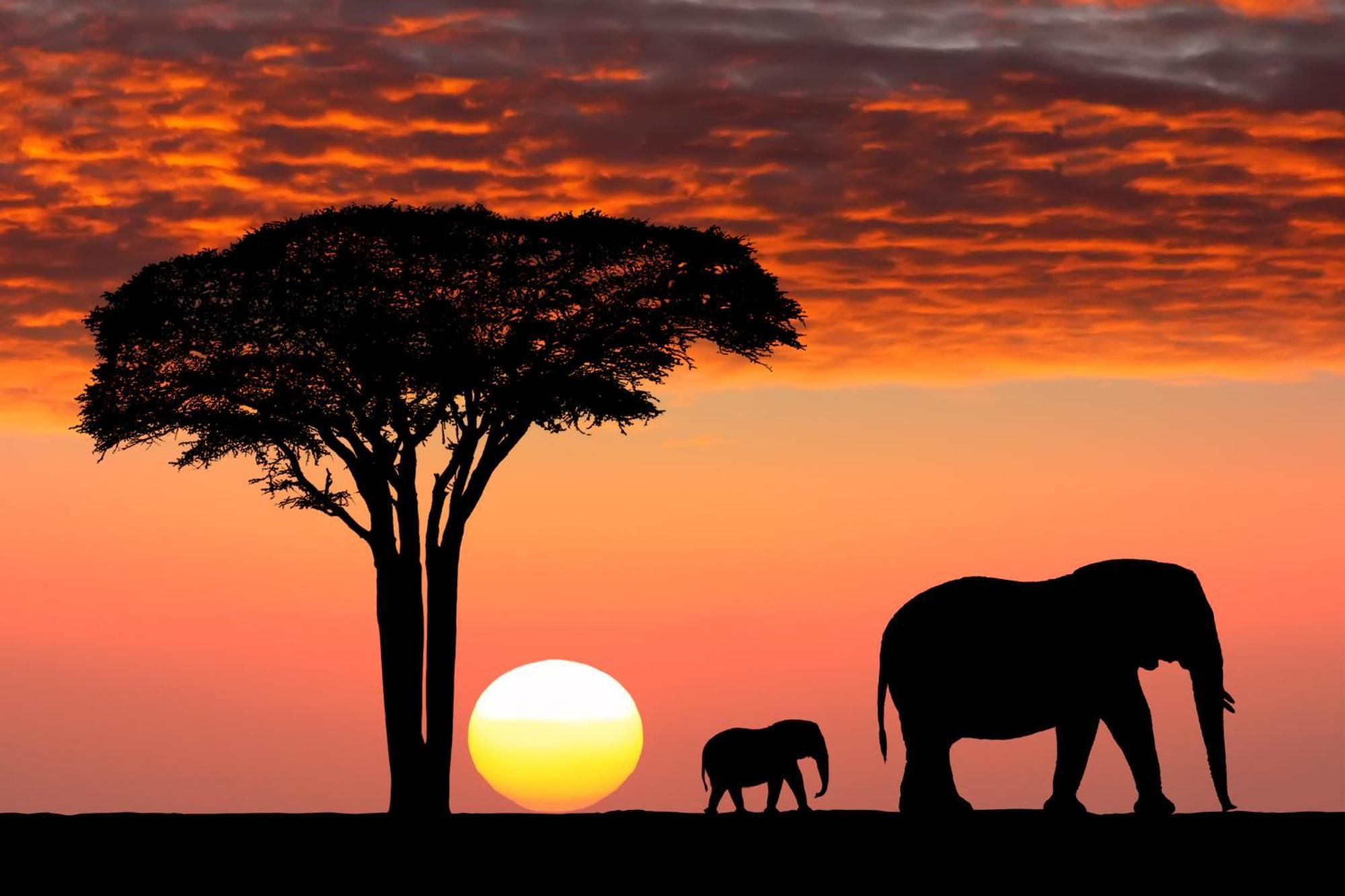Olkinyei Mara Tented Camp Talek 외부 사진